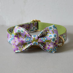 Purple Zephyr Dog Collar and Leash Set